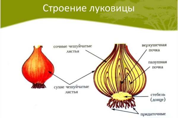 Телеграм гашиш